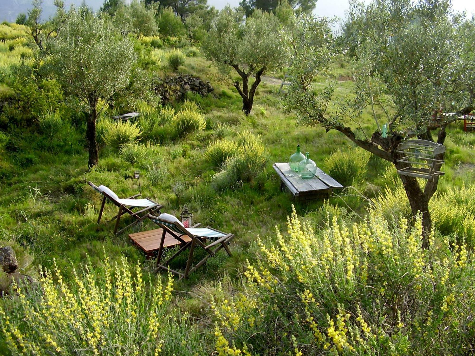 Shariqua (Adults Only) Bed & Breakfast Jérica Екстериор снимка