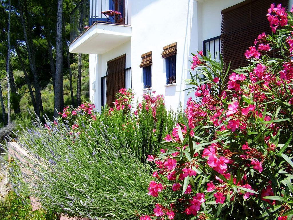 Shariqua (Adults Only) Bed & Breakfast Jérica Екстериор снимка
